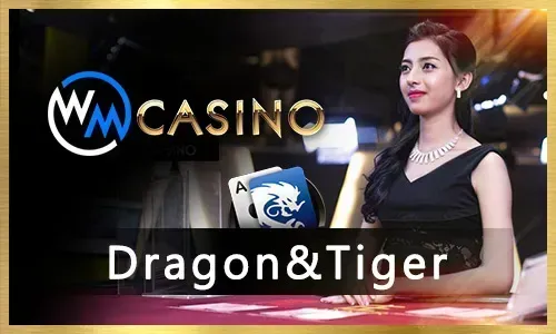 phmacao Specialty Games Icon